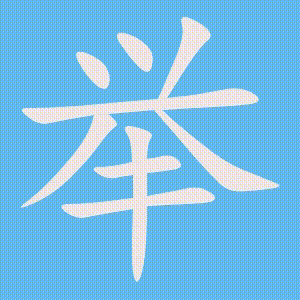 举的笔顺动画演示