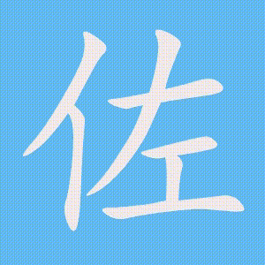 佐的笔顺动画演示