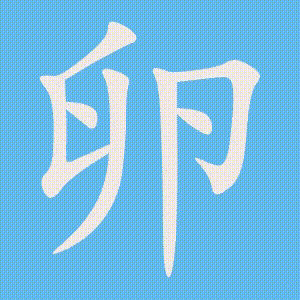 卵的笔顺动画演示
