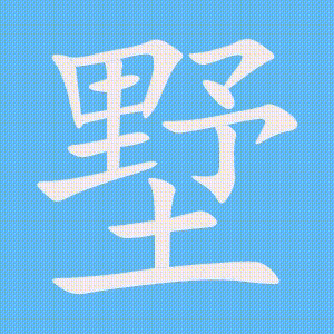 墅的笔顺动画演示