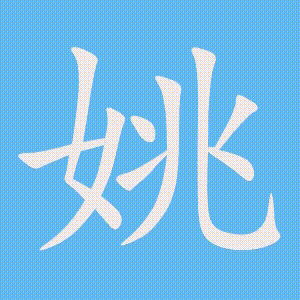 姚的笔顺动画演示