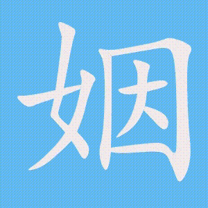 姻的笔顺动画演示