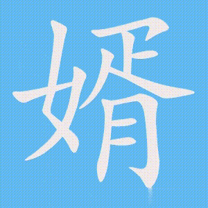 婿的笔顺动画演示