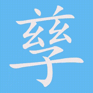 孳的笔顺动画演示