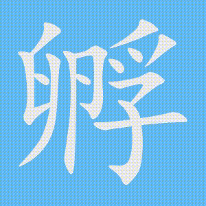 孵的笔顺动画演示