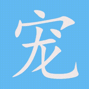 宠的笔顺动画演示