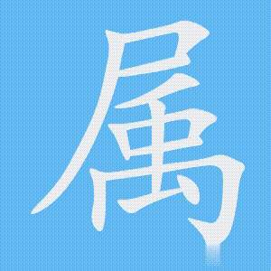 属的笔顺动画演示