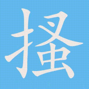 搔的笔顺动画演示