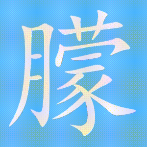 朦的笔顺动画演示