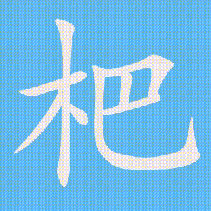 杷的笔顺动画演示