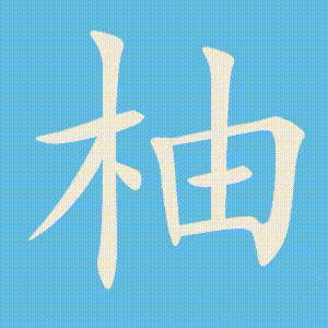 柚的笔顺动画演示