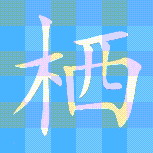 栖的笔顺动画演示