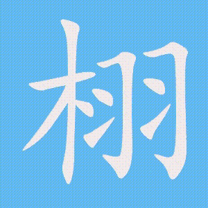 栩的笔顺动画演示