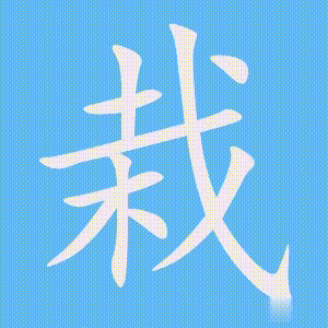 栽的笔顺动画演示