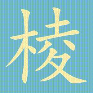 棱的笔顺动画演示