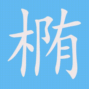 椭的笔顺动画演示