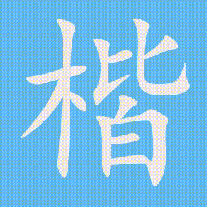 楷的笔顺动画演示