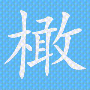 橄的笔顺动画演示