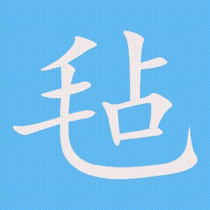 毡的笔顺动画演示