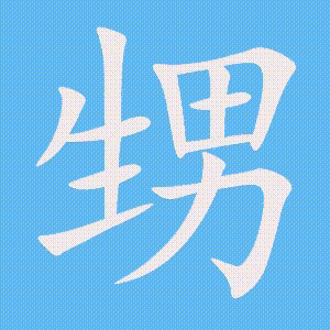 甥的笔顺动画演示