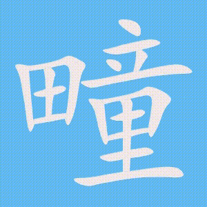 疃的笔顺动画演示
