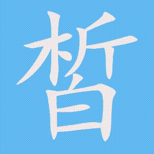 皙的笔顺动画演示