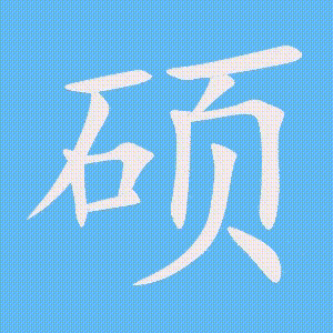 硕的笔顺动画演示