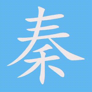 秦的笔顺动画演示