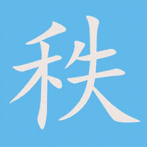 秩的笔顺动画演示