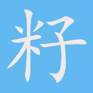 籽的笔顺动画演示