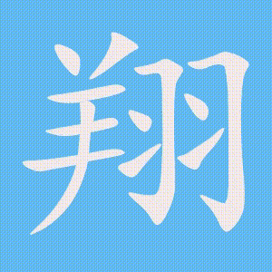 翔的笔顺动画演示