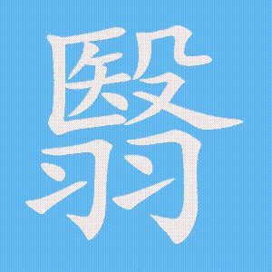翳的笔顺动画演示