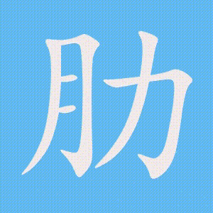 肋的笔顺动画演示