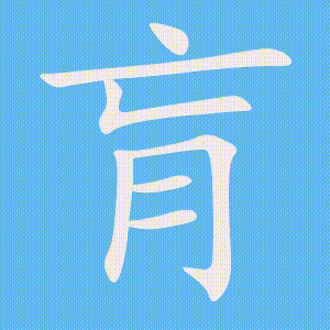 肓的笔顺动画演示