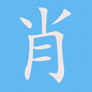 肖的笔顺动画演示