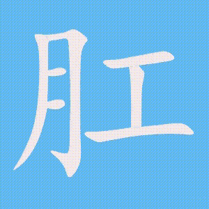 肛的笔顺动画演示