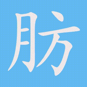肪的笔顺动画演示