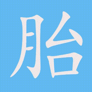胎的笔顺动画演示