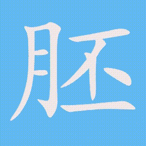 胚的笔顺动画演示