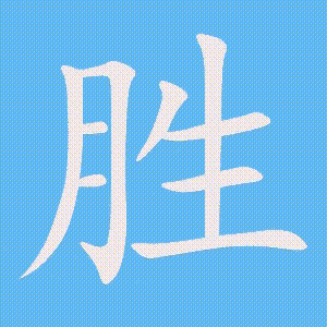 胜的笔顺动画演示