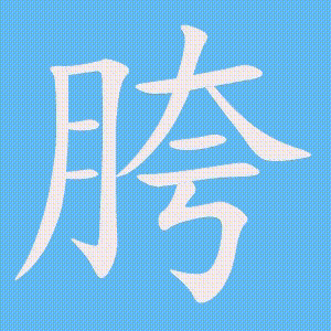 胯的笔顺动画演示