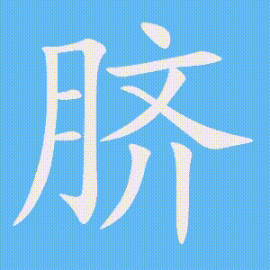 脐的笔顺动画演示
