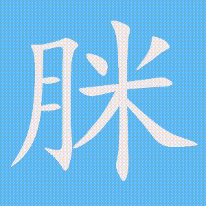 脒的笔顺动画演示