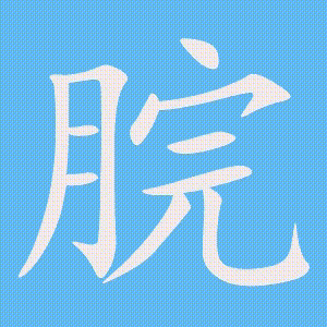 脘的笔顺动画演示