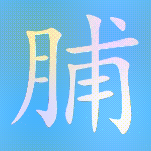 脯的笔顺动画演示