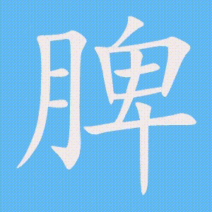 脾的笔顺动画演示