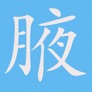 腋的笔顺动画演示