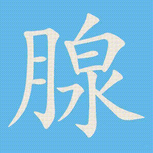 腺的笔顺动画演示