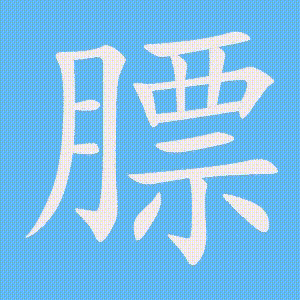 膘的笔顺动画演示