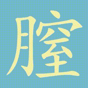 膣的笔顺动画演示